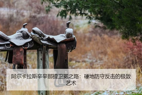 a-er-ka-la-si-xin-xin-na-ti-wei-mian-zhi-lu-ying-di-fang-shou-fan-ji-de-ji-zhi-yi-shu-2-670.jpg
