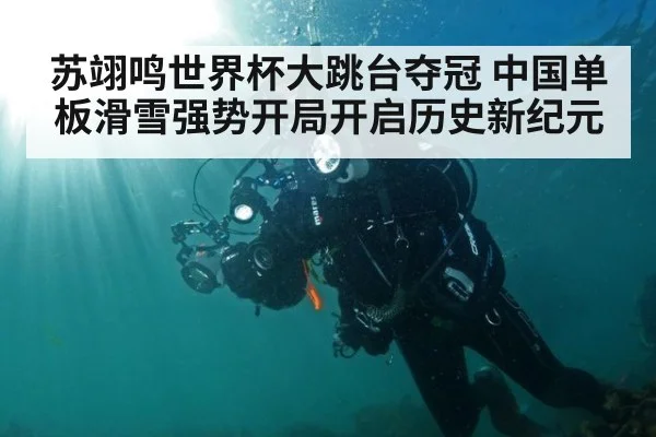 苏翊鸣世界杯大跳台夺冠 中国单板滑雪强势开局开启历史新纪元